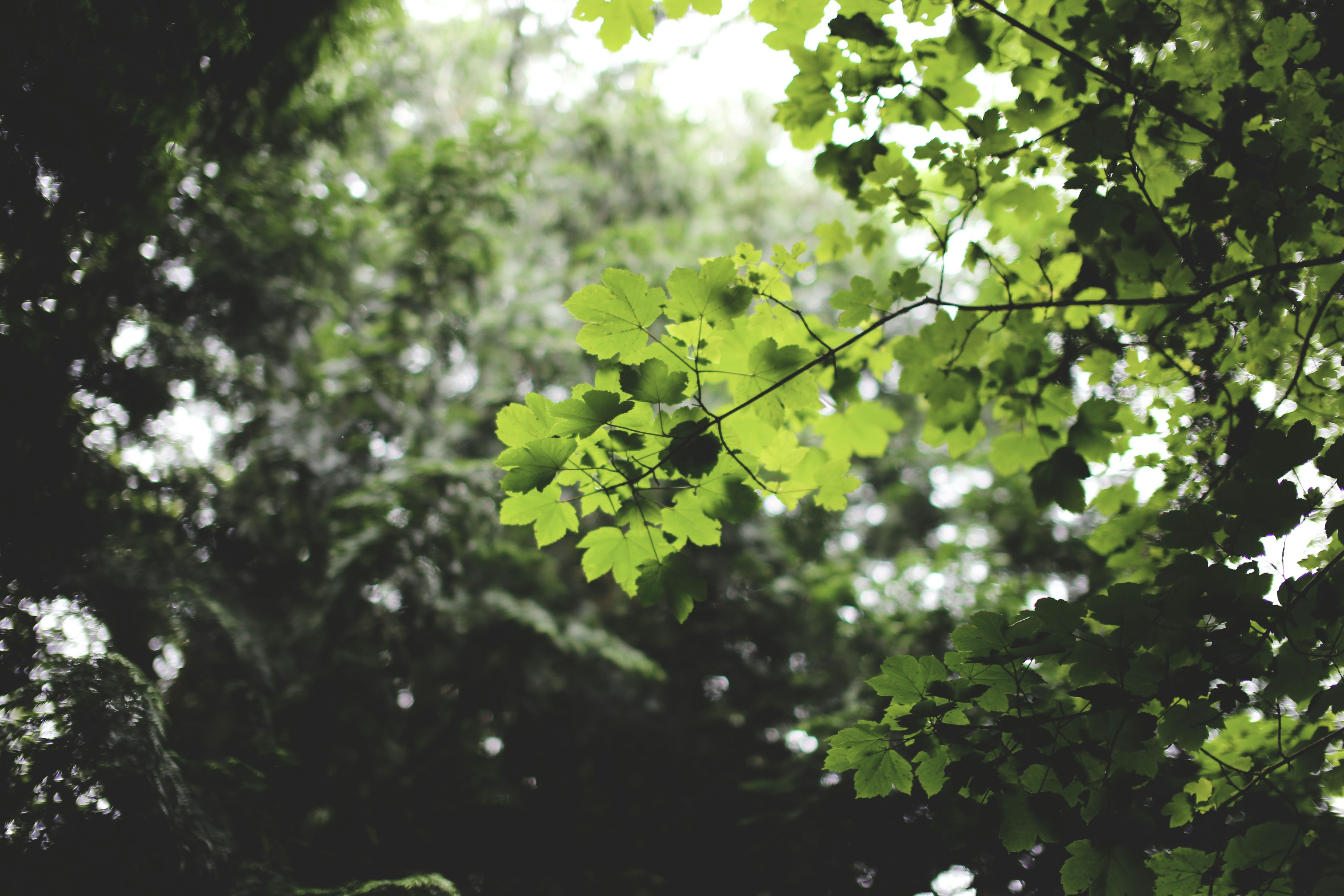 jack-swords-blGxgZgM3Es-unsplash