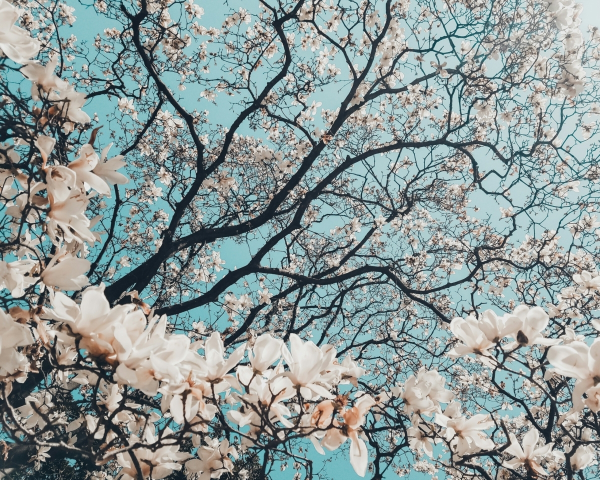 meric-dagli-7NBO76G5JsE-unsplash-1200x960