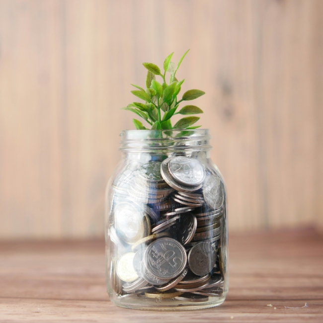 LAVA & Professional Wealth Management