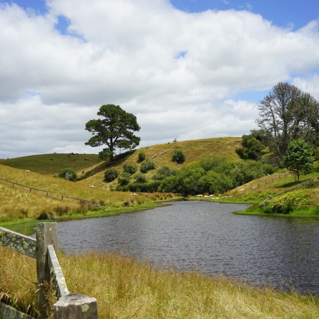 Old Mill joins Blixt-backed Kinbrook