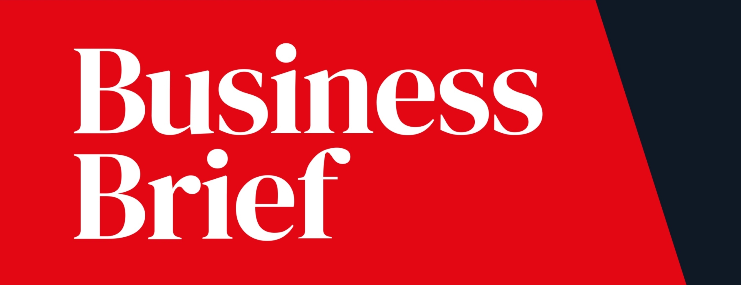 LAVA & Business Brief